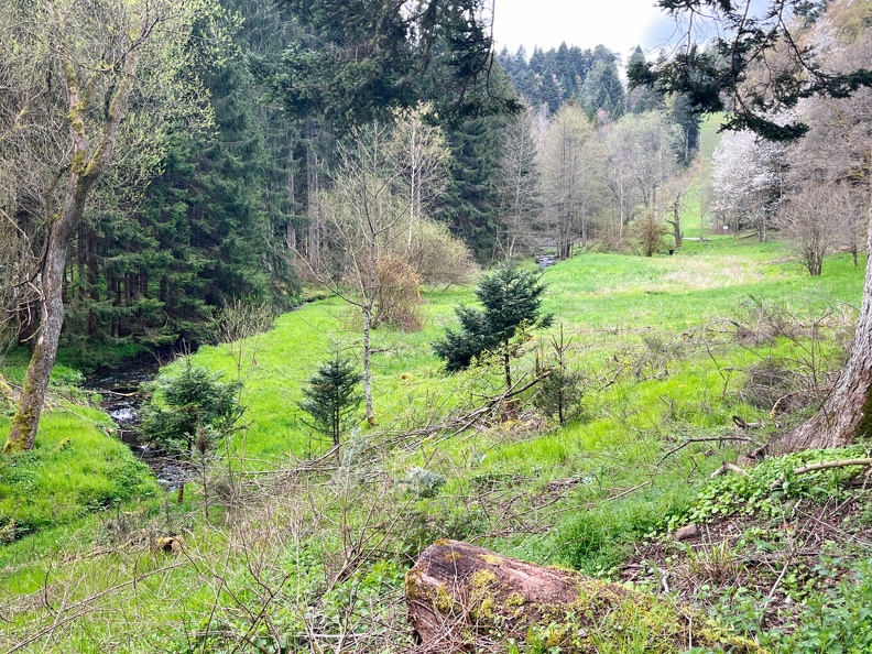 23-04-30 10-52-48 5231.jpeg